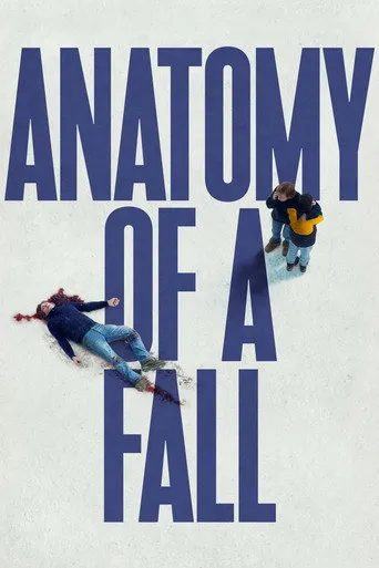 Anatomy of a Fall（墜惡真相）