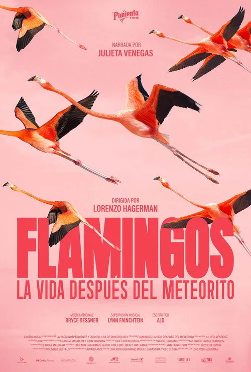 Flamingos: Life After the Meteorite
